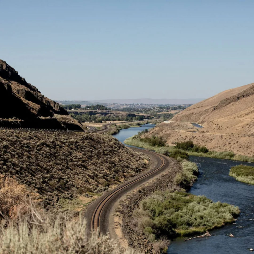 Basin City, WA — Rango™